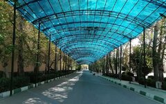 وزیر علوم استعفای مدیرکل خوابگاه‌های دانشگاه تهران را تأیید کرد
