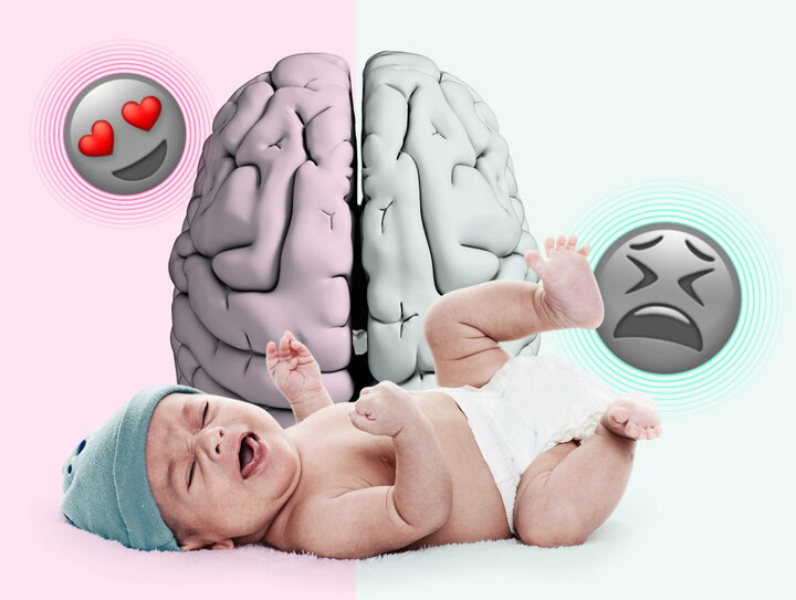 فرزندپروری ساختار عصبی مغز والدین را دگرگون می‌کند