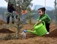 روز درختکاری؛ میراثی سبز برای آیندگان