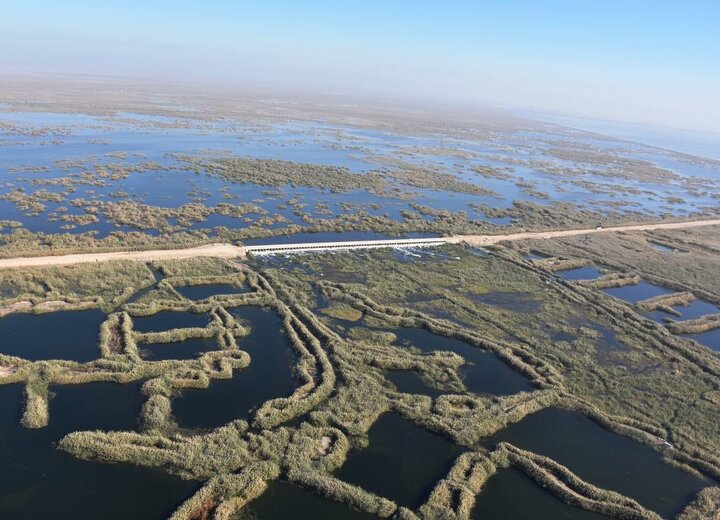 سیصد هکتار از بخش عراقی هورالعظیم در آتش سوخت سیصد هکتار از بخش عراقی هورالعظیم در آتش سوخت