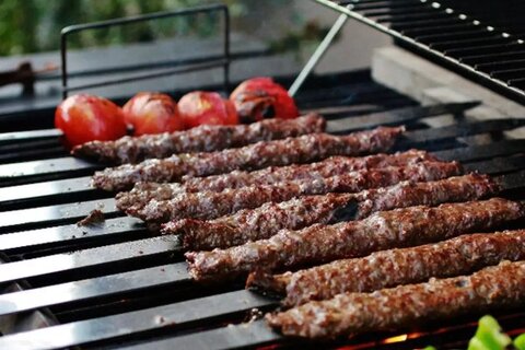 رئیس اتحادیه غذاهای سنتی: کباب زیر ۱۰۰ هزار تومان بیماری‌زا است