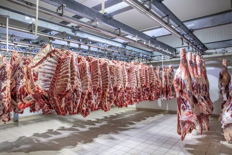 خروج بی‌سر و صدای گوشت گرم از لیست اقلام اساسی