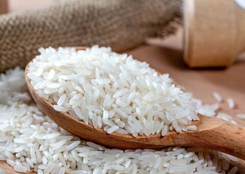 واردات برنج دانه‌بلند هندی ۱۱۲۱ ممنوع شد