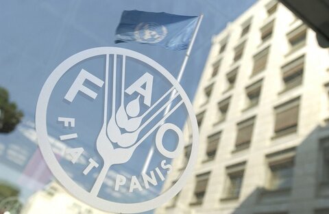 پایان تعلیق ۱۵ ساله ایران در فائو با پرداخت بدهی