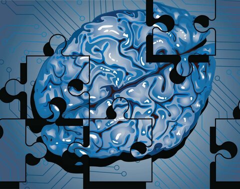 سن زیستی مغز نقش تعیین‌کننده‌ای در طول عمر دارد