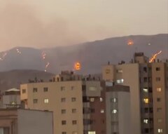بسیج نیروهای مردمی برای اطفای آتش‌سوزی بَموی شیراز