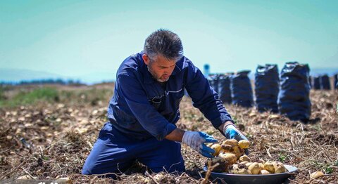 ایران صاحب بزرگ‌ترین مرکز داده بخش کشاورزی شد