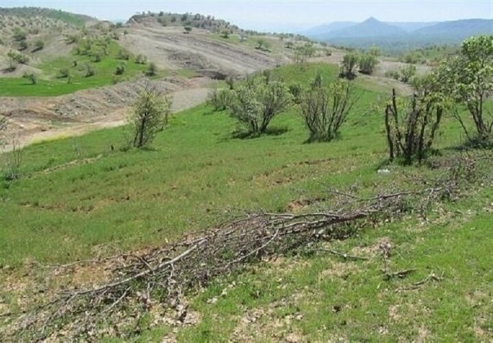 واگذاری قسطی ۱۵ هکتار اراضی ملی شمیرانات به قیمت ۱۵ میلیون تومان