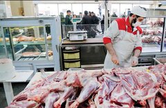 دامداران: واگذاری واردات نهاده‌ها شرط کاهش قیمت گوشت و لبنیات