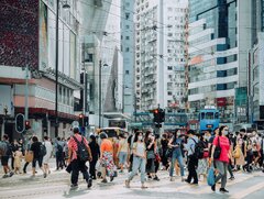 انسان‌ها برای زندگی در شهرها ساخته نشده‌اند