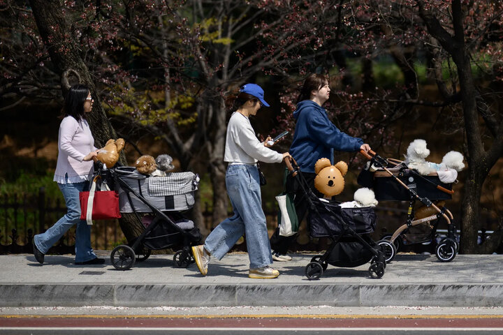کره‌جنوبی و نرخ نگران‌کننده تولد در ۲۰۲۶