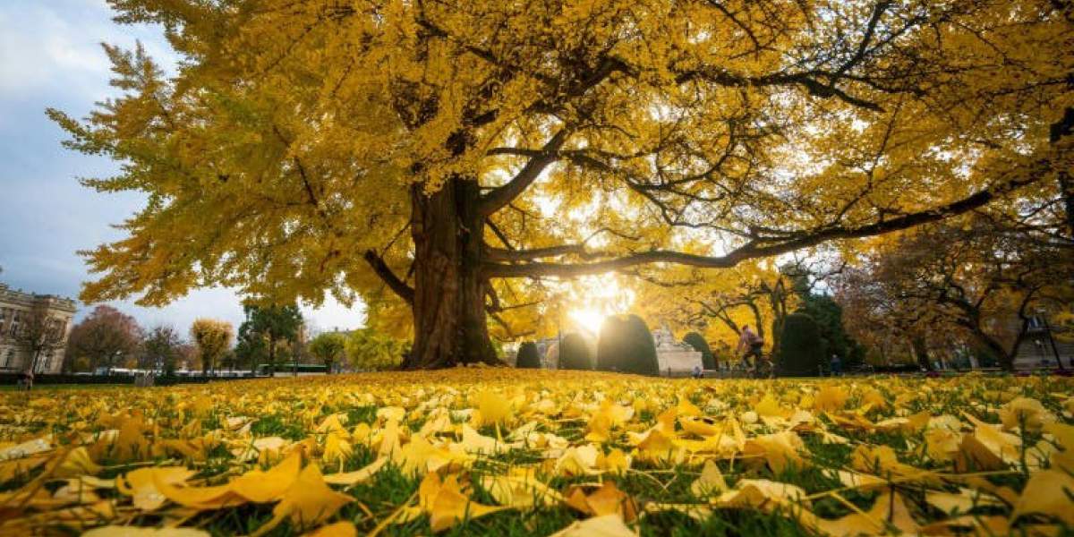 فراخوان جهانی برای توقف نابودی طبیعت