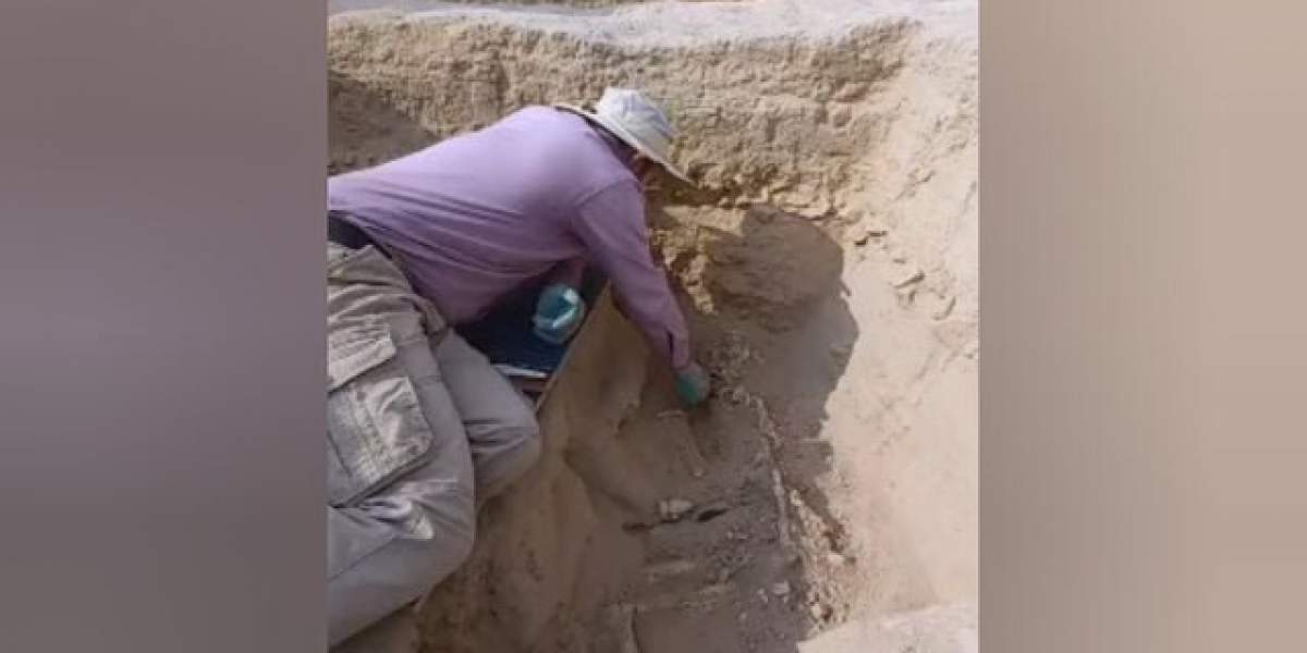 کشف اسکلت انسانی در تپه هفت هزار ساله  